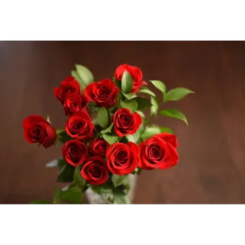 Fresh Red Rose 